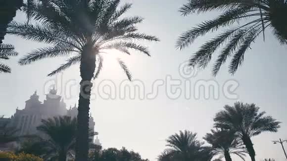 阿布扎比的城市生活阳光透过棕榈树照耀亚特兰蒂斯酒店视频的预览图