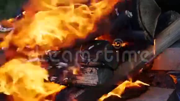 燃烧的木头视频的预览图