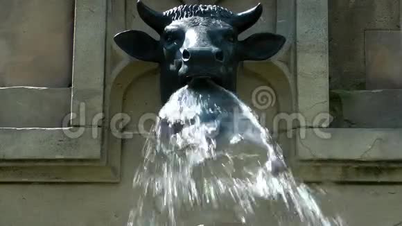 法兰克福喷泉动物雕塑视频的预览图