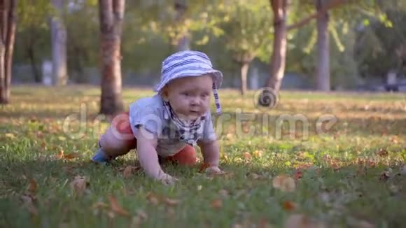 巴拿马的婴儿在公园的草地上爬行视频的预览图