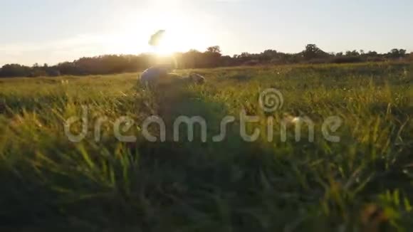 年轻人在草地上练习瑜伽动作和姿势在大自然中站着瑜伽姿势的运动员视频的预览图