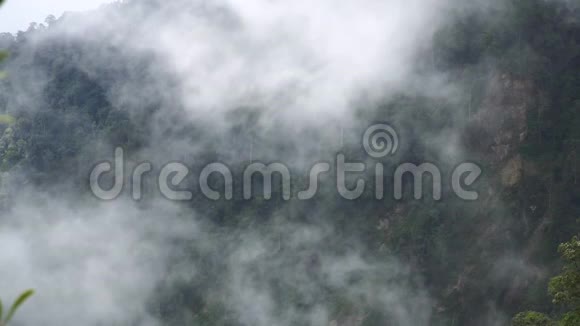 茂密的森林雾和烟雾在山间流动视频的预览图