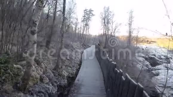 初秋在寒冷的霜冻覆盖着棕色叶子的木步道上徘徊视频的预览图
