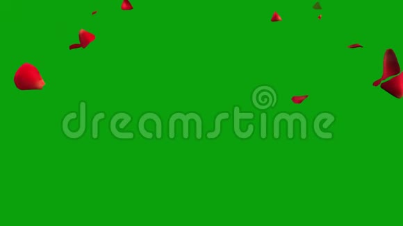 飘落的玫瑰花瓣绿幕背景视频的预览图