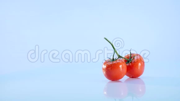 白色背景下分离的番茄旋转番茄早午餐视频的预览图