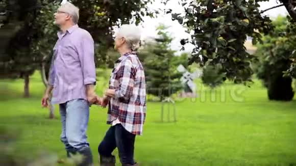 年长夫妇沿着夏园散步视频的预览图