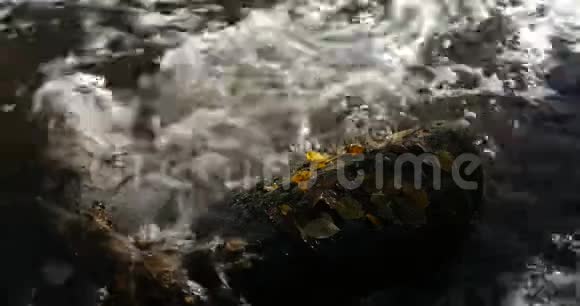 近景拍摄的溪水在山溪周围有黄色和棕色的秋叶视频的预览图