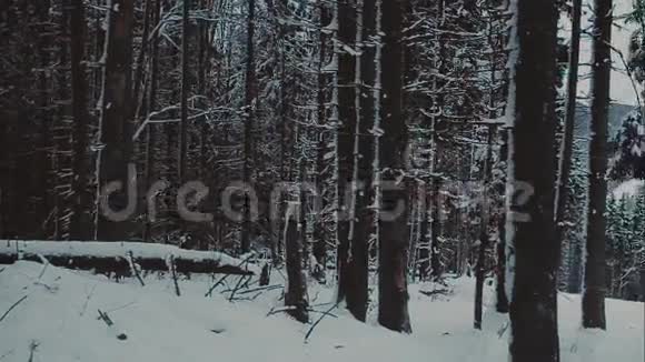 冬季山地全景带滑雪坡云杉和山视频的预览图