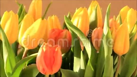 郁金香花束黄橙色旋转视频的预览图