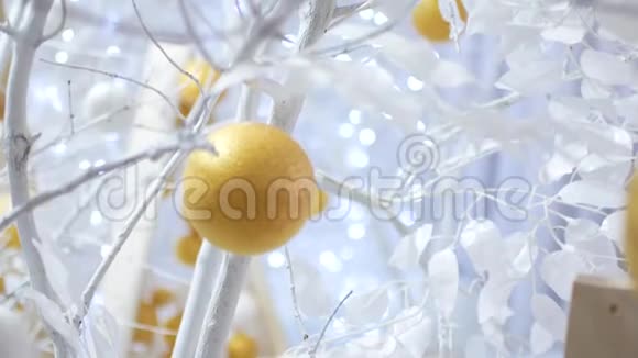 新年装饰白色球像橘子放在雪白的树上视频适合背景视频的预览图