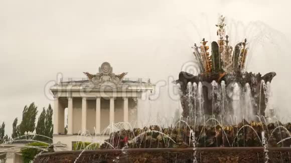 莫斯科国民经济成就展览会喷泉视频的预览图