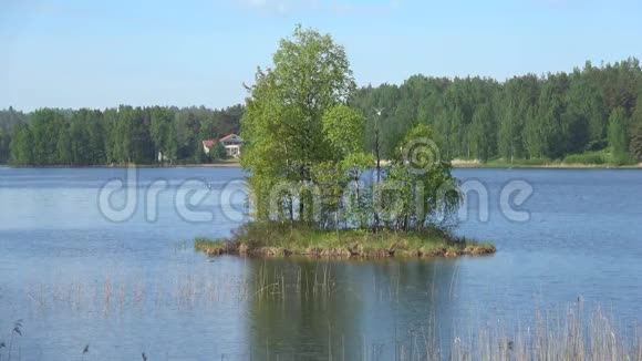 在帕皮兰拉蒂湖阳光明媚的六月芬兰视频的预览图