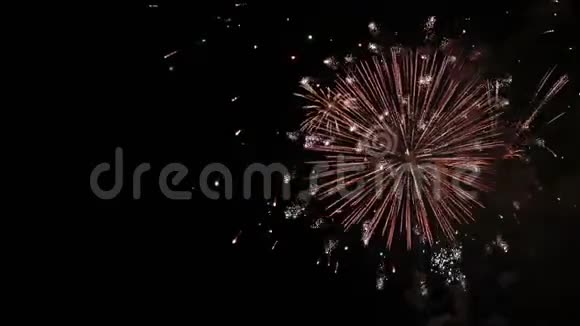 令人惊叹的烟火表演鲜艳的花朵在夜空中飞溅着敬礼胜利日视频的预览图