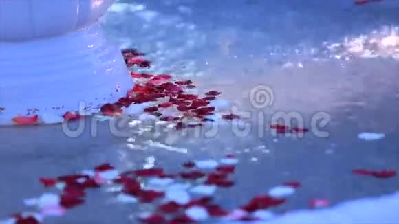 白色和红色萼片花在水碗中举行婚礼视频的预览图