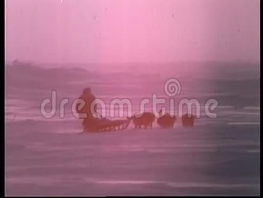 爱斯基摩人的后景被雪橇狗骑到夕阳中视频的预览图