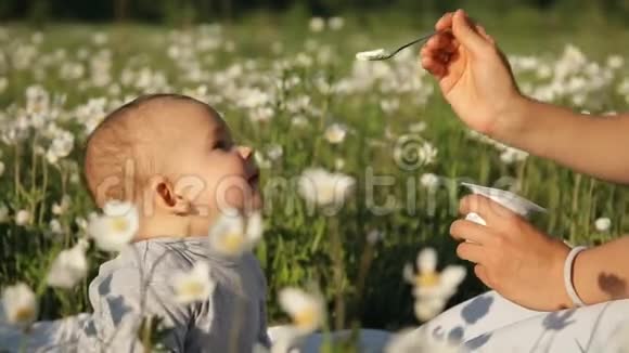 一位年轻快乐的母亲的缓慢动作喂养她的孩子她坐在公园的花田中间视频的预览图