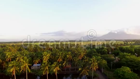 地平线乡村景色日出在一个温和的热带岛屿度假海滨视频的预览图