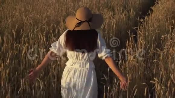 一个小女孩慢吞吞地走在麦田里视频的预览图