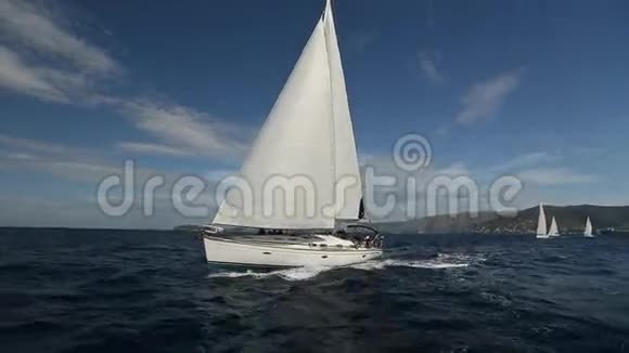 帆船参加帆船比赛乘风破浪航行视频的预览图