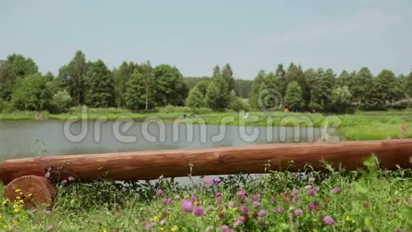 阳光明媚的一天池塘边空荡荡的长凳周围是森林和田野视频的预览图