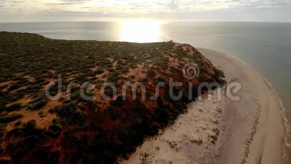 海岸线和海滩上的鸟海视频的预览图