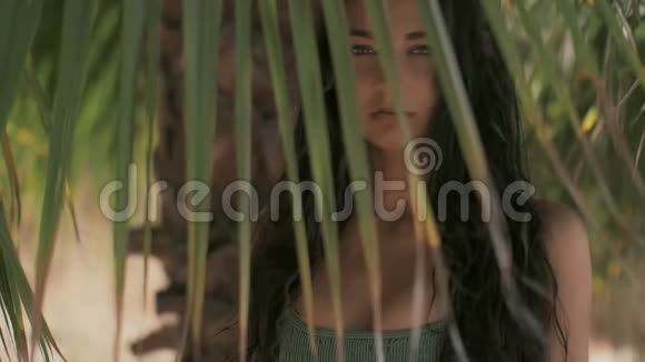 在热带森林里摆姿势的漂亮女孩特写完美肖像视频的预览图