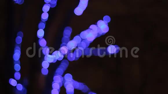 公园里的一棵树上闪烁的花环圣诞节和新年背景抽象模糊的波克视频的预览图