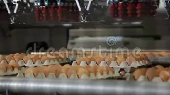 工厂鸡蛋分类自动供应鸡蛋视频的预览图