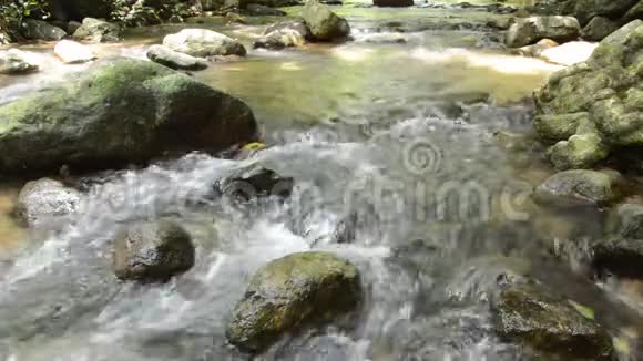 河流在森林中的白内障上流淌视频的预览图