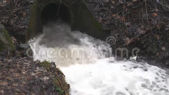 雨后小溪里的水流视频的预览图