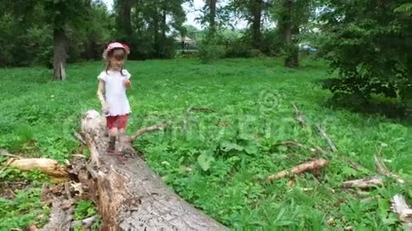 女孩走在一棵大树的树干上干砍倒躺在地上的病树视频的预览图