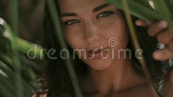 在热带森林里摆姿势的漂亮女孩特写完美肖像视频的预览图
