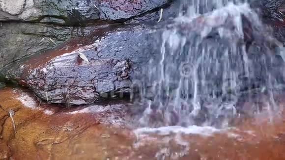 天然瀑布和流动的纯淡水与叶和石森林中的瀑布视频的预览图