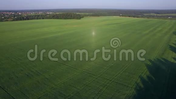 俄罗斯绿色草地上的空中飞行视频的预览图