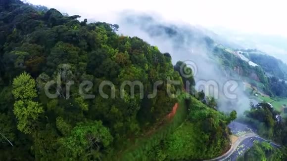 薄雾般的热带雨林空中景色从云层中飞过视频的预览图