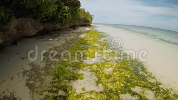 美丽的珊瑚礁和风景的海洋海岸空中观景视频的预览图