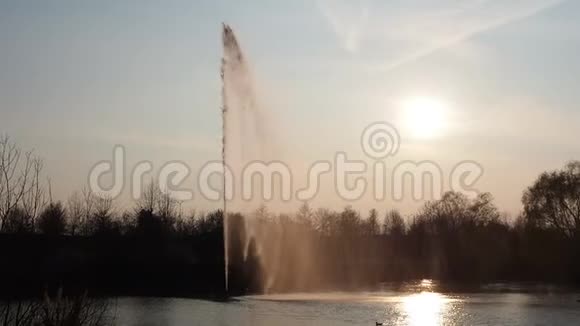夕阳下公共公园喷泉的美丽景色视频的预览图