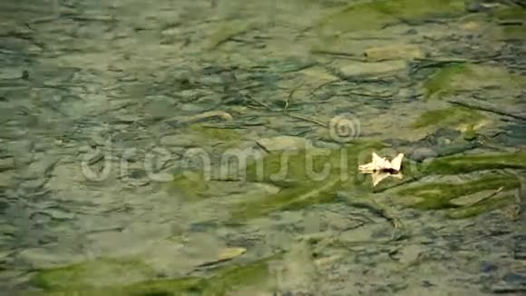 密集的绿色睡莲在一个小湖视频的预览图