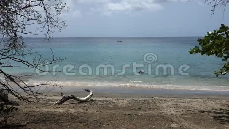 一个女人在加勒比海享受海滩视频的预览图