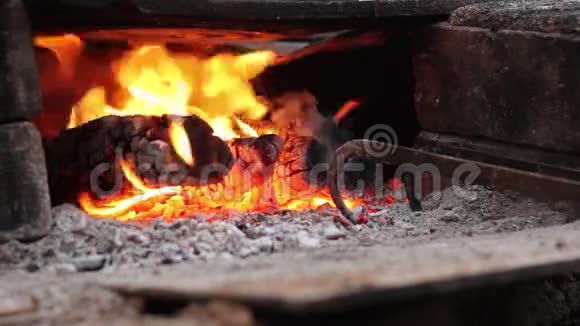 壁炉花园里燃烧的树林野餐视频的预览图