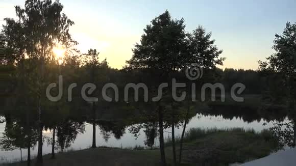 美丽的夜晚树林环绕着湖泊全景高度4K视频的预览图