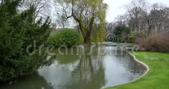 景观花园的湖畔景观视频的预览图