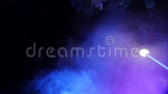 闪烁的光斑光线在树上闪烁晚上的音乐会和庆祝的烟雾视频的预览图