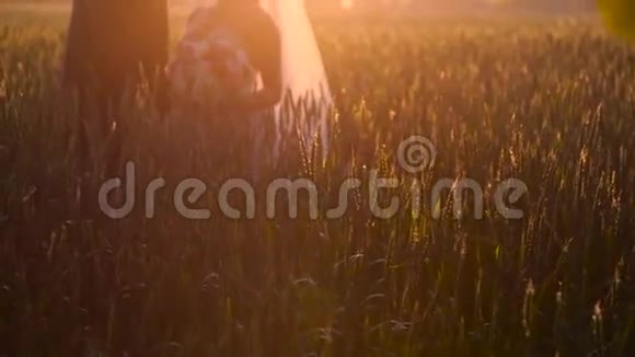 新婚夫妇在阳光明媚的日子拥抱在麦田里视频的预览图