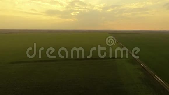 在绿色田野的背景下俯瞰金色的日落视频的预览图