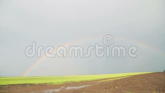 彩虹覆盖着明亮的绿色田野视频的预览图