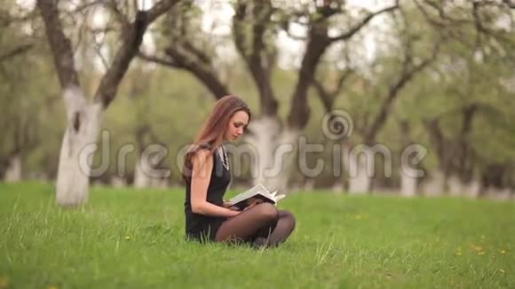 女孩在草地上看书视频的预览图