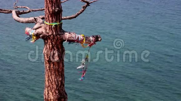 贝加尔湖奥克洪岛带丝带的树视频的预览图