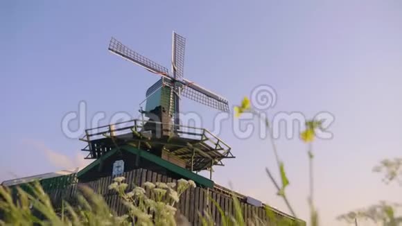 荷兰乡村乡村风景区视频的预览图