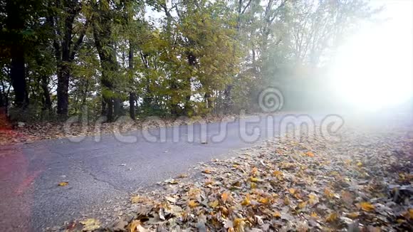 秋日骑自行车的女人阳光背景慢动作视频的预览图
